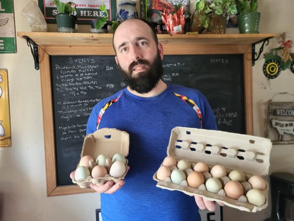 Eggs