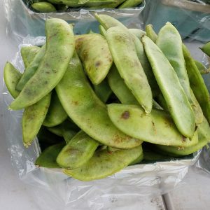 Lima Beans (1.5lbs Unshelled)