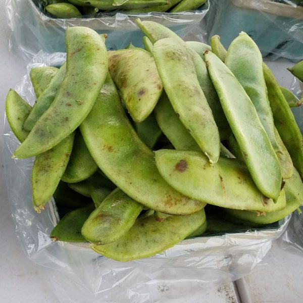 Lima Beans (1.5lbs Unshelled)