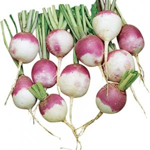 Turnips