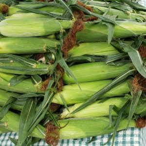 Corn (Sweet)