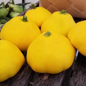 Patty Pan Squash