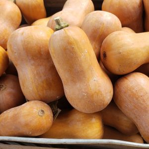 Honeynut Squash