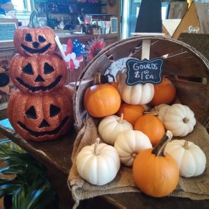 Autumn Shop