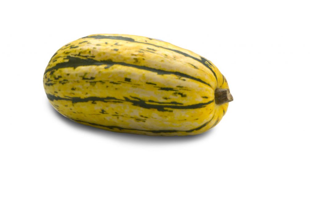 Delicata Squash