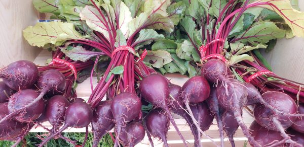 Beets