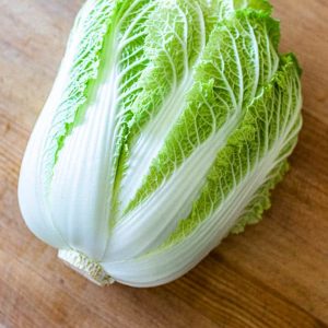 Napa Cabbage