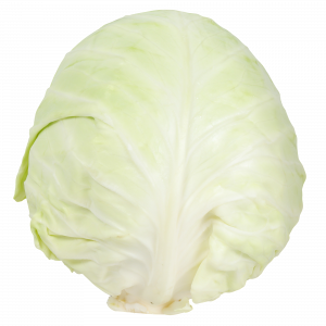 Cabbage