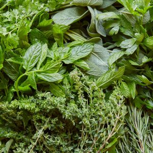 Fresh Herbs